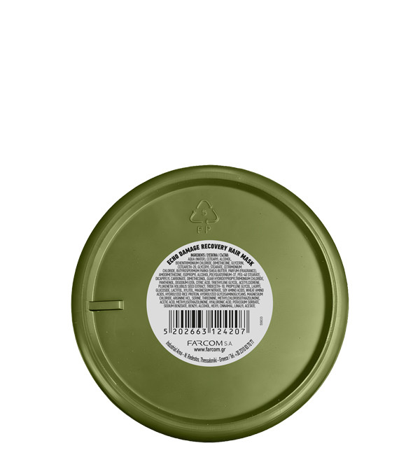 ECHO ΜΑΣΚΑ ΜΑΛΛΙΩΝ DAMAGE RECOVERY 250ML